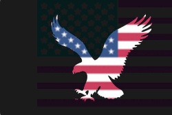 american-eagle-outfitters-boxershorts